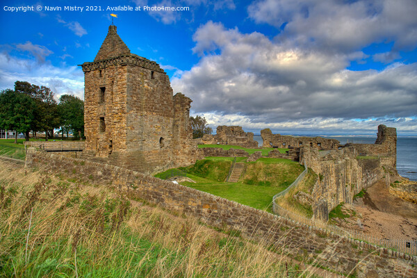 St Andrews Castle, Fife, Scotland Picture Board by Navin Mistry