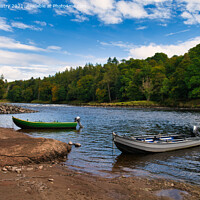 Buy canvas prints of Boats of Taymount Salmon Fishing Course by Navin Mistry