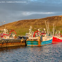 Buy canvas prints of Fishing Boats in Scalloway Harbour, Shetland Isles by Navin Mistry