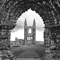 Buy canvas prints of St Andrews Cathedral  by Navin Mistry