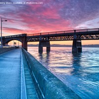 Buy canvas prints of McGonagall's Walk, Riverside Drive, Dundee by Navin Mistry