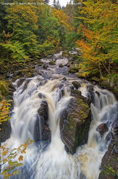 Autumn and The Black Linn Falls at The Hermitage  Picture Board by Navin Mistry
