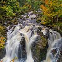 Buy canvas prints of Autumn and The Black Linn Falls at The Hermitage  by Navin Mistry
