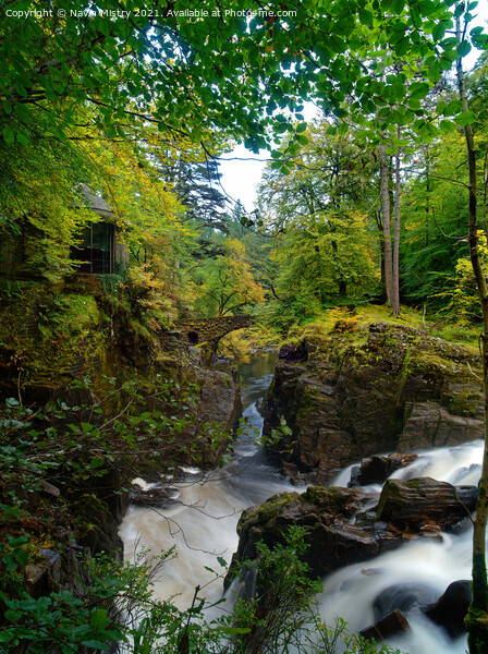 Autumn and Black Linn Falls at The Hermitage  Picture Board by Navin Mistry