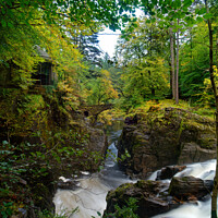 Buy canvas prints of Autumn and Black Linn Falls at The Hermitage  by Navin Mistry