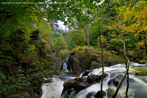 Autumn and Black Linn Falls at The Hermitage  Picture Board by Navin Mistry
