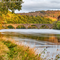 Buy canvas prints of The River Tay in Autumn at Dunkeld, Perthshire by Navin Mistry