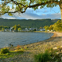 Buy canvas prints of A view of Kenmore and Loch Tay, Perthshire by Navin Mistry