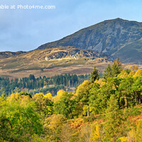 Buy canvas prints of A view of Ben Vrackie in the Autumn by Navin Mistry