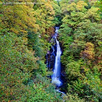 Buy canvas prints of The Black Spout Waterfall, Pitlochry, Perthshire by Navin Mistry