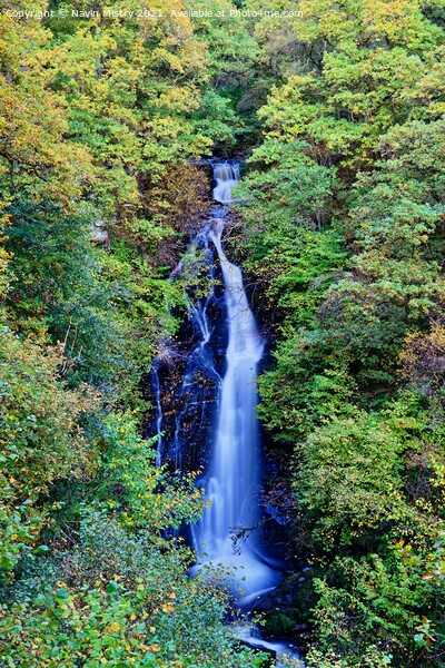 The Black Spout Waterfall, Pitlochry, Perthshire Picture Board by Navin Mistry