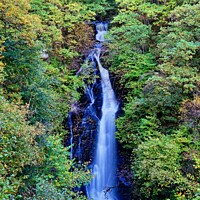 Buy canvas prints of The Black Spout Waterfall, Pitlochry, Perthshire by Navin Mistry