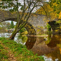 Buy canvas prints of Inver Bridge and River Braan Autumn by Navin Mistry