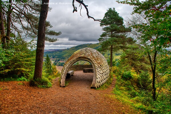 The Pine Cone View Point Tay Forest Dunkeld  Picture Board by Navin Mistry
