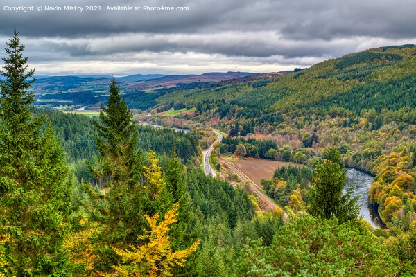 A view of the Tay Forest near Dunkeld Picture Board by Navin Mistry
