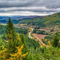 Buy canvas prints of A view of the Tay Forest near Dunkeld by Navin Mistry