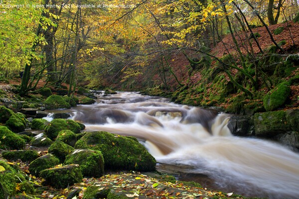 Autumn at The Birks of Aberfeldy Picture Board by Navin Mistry