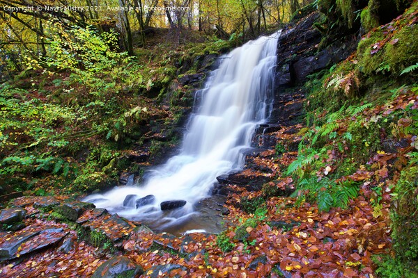 Waterfall in the Birks of Aberfeldy in Autumn Picture Board by Navin Mistry
