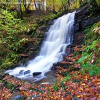 Buy canvas prints of Waterfall in the Birks of Aberfeldy in Autumn by Navin Mistry