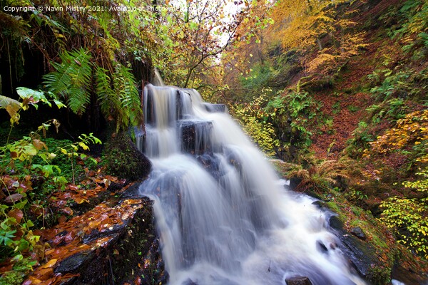 A Waterfall in the Birks of Aberfeldy Picture Board by Navin Mistry