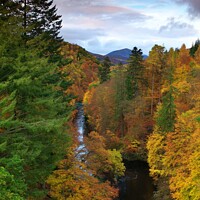 Buy canvas prints of Autumn colours line the River Tummel near Pitlochry, Perthshire by Navin Mistry