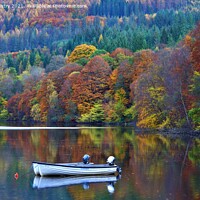 Buy canvas prints of  A small boat in Loch Faskally in Autumn  by Navin Mistry