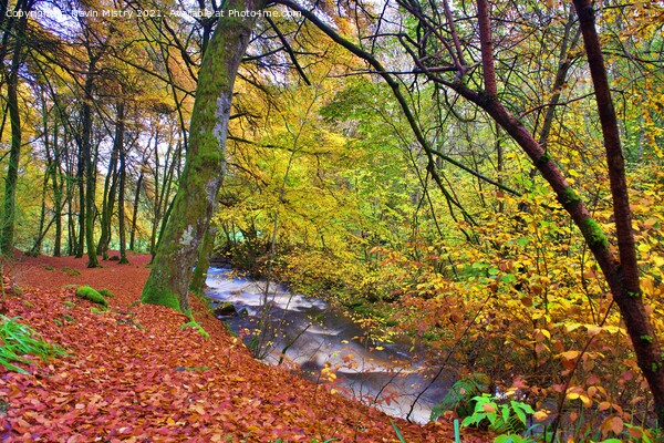 A view of the Birks of Aberfeldy in Autumn Picture Board by Navin Mistry