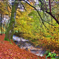 Buy canvas prints of A view of the Birks of Aberfeldy in Autumn by Navin Mistry