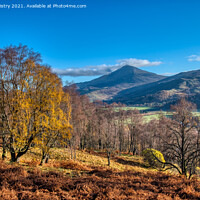 Buy canvas prints of A view of Schiehallion from Kinloch Rannoch by Navin Mistry