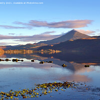 Buy canvas prints of A view of Schiehallion and Loch Rannoch  by Navin Mistry