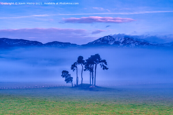 Pitlochry Dawn Mist Picture Board by Navin Mistry