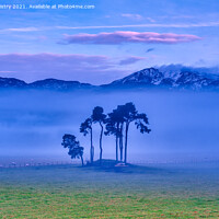 Buy canvas prints of Pitlochry Dawn Mist by Navin Mistry