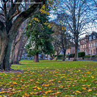 Buy canvas prints of Autumn and the South Inch, Perth Scotland by Navin Mistry