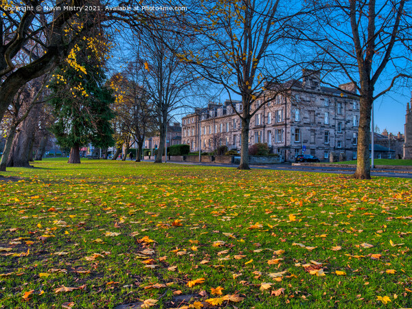 Autumn and the South Inch, Perth Scotland Picture Board by Navin Mistry