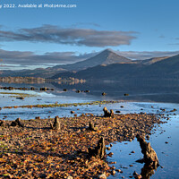 Buy canvas prints of A view of Schiehallion from Loch Rannoch  by Navin Mistry