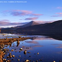 Buy canvas prints of A view of Schiehallion from Loch Rannoch   by Navin Mistry