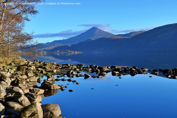 A view of Schiehallion from Loch Rannoch  Picture Board by Navin Mistry