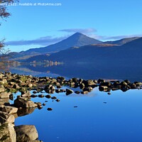 Buy canvas prints of A view of Schiehallion from Loch Rannoch  by Navin Mistry