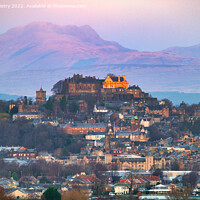 Buy canvas prints of Early Morning Light on Stirling Castle  by Navin Mistry