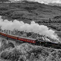 Buy canvas prints of The Jacobite Steam Train, Glenfinnan, Scotland  by Navin Mistry