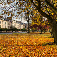 Buy canvas prints of Autumn and the South Inch, Perth Scotland by Navin Mistry