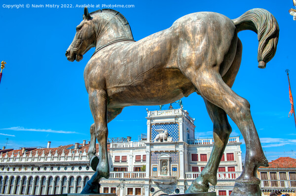A Bronze Horse of the Triumphal Quadriga, St Marks Basilica, Venice Picture Board by Navin Mistry