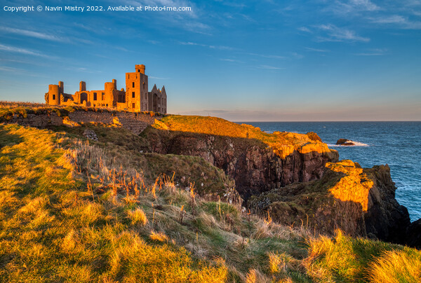 Slains Castle in the evening light Picture Board by Navin Mistry