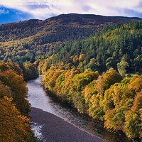 Buy canvas prints of Autumn colours and the River Garry, near Pitlochry, Perthshire by Navin Mistry