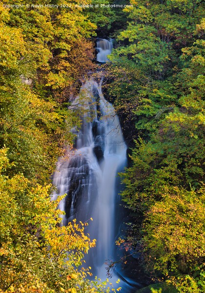 The Black Spout water fall with Autumn colours, Pitlochry, Perthshire Picture Board by Navin Mistry