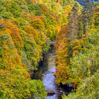 Buy canvas prints of Autumn colours and the River Garry, near Pitlochry, Perthshire by Navin Mistry