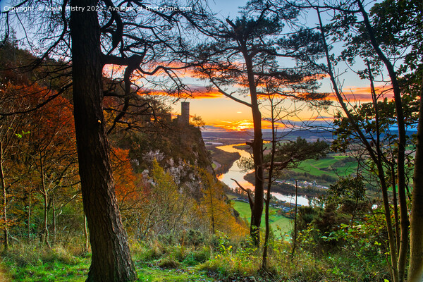 A view of the River Tay at sunrise from Kinnoull H Picture Board by Navin Mistry