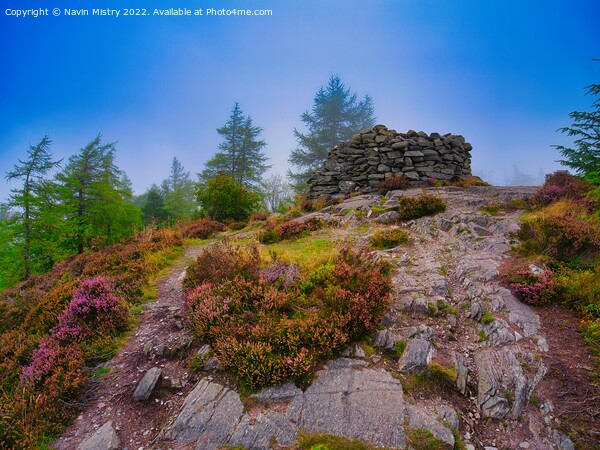 The King's Seat, Birnam Hill  Picture Board by Navin Mistry