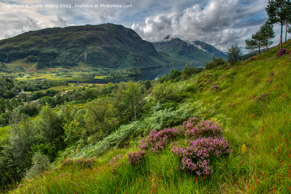 A view of Glenfinnan and Loch Shiel Picture Board by Navin Mistry
