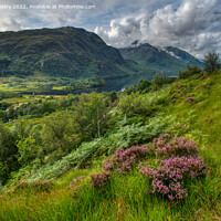 Buy canvas prints of A view of Glenfinnan and Loch Shiel by Navin Mistry